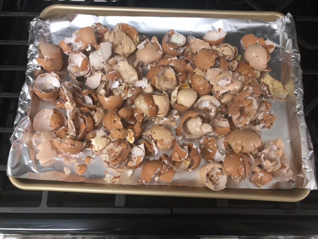 Open and empty eggshells on tin foil and placed on a baking sheet.  