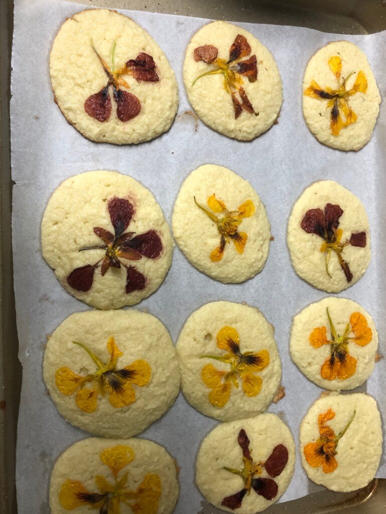 Sugar free Thyme cookies baked on parchment paper on cookie sheet