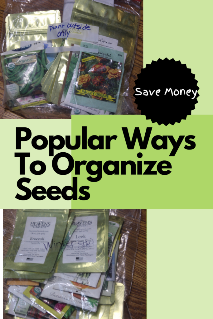 seed packets organized by time of year in ziplock bags
